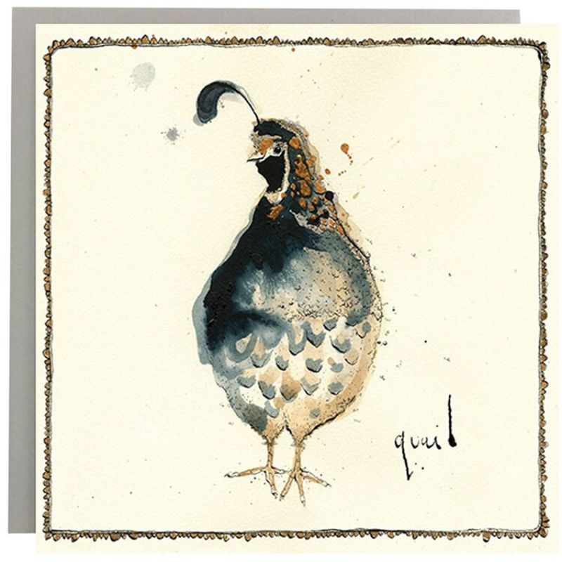 anna wright illustrated greeting card quail