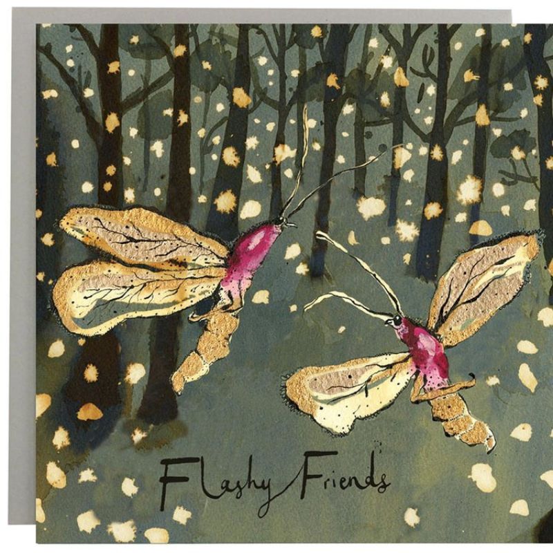 anna wright illustrated greeting card flashy friends