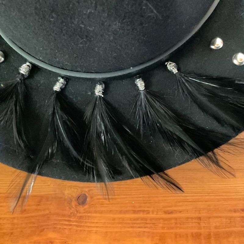 Black wool felt fedora with stud and feather accents