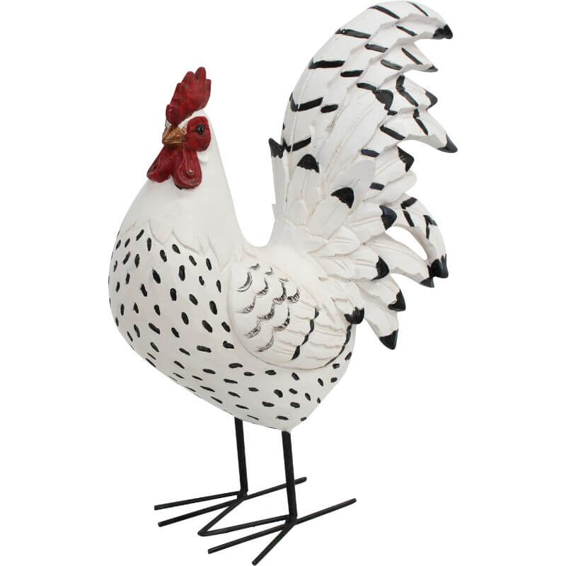 A Rooster on wire legs with black and white plumage