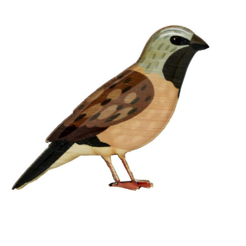 selatan black throated finch brooch