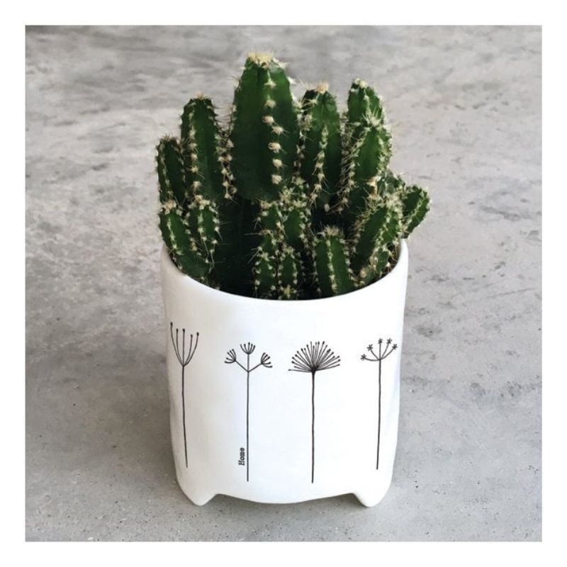 porcelain planter with dandelions and home on the side with a cactus