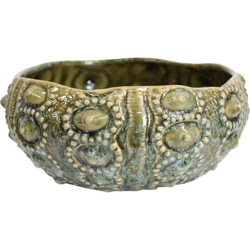 A beautiful textured sea urchin inspired bowl in green
