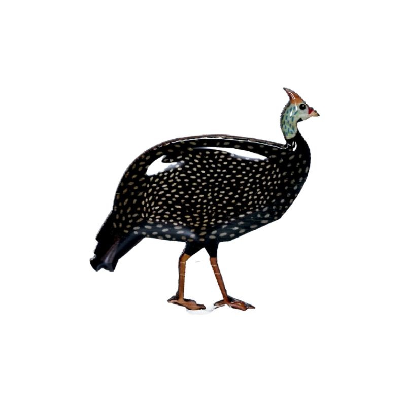 selatan guineafowl brooch