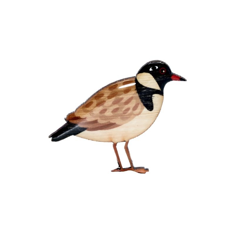 seletan Hooded plover brooch