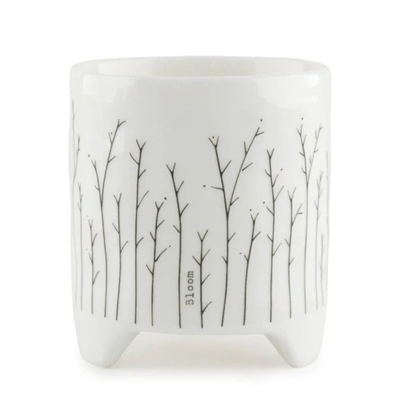 white porcelain east of india planter with branches and the word bloom on the side