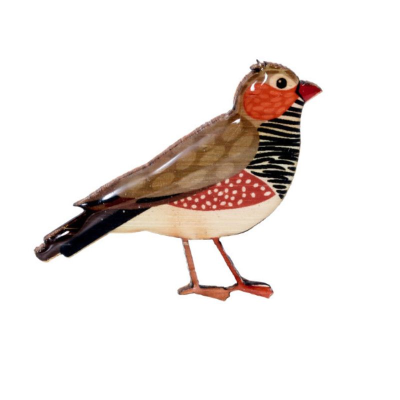 selatan zebra finch brooch